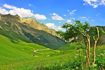 Obraz premium PAYSAGE HAUTES ALPES