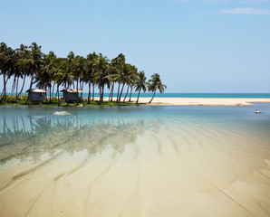 Tropical beach