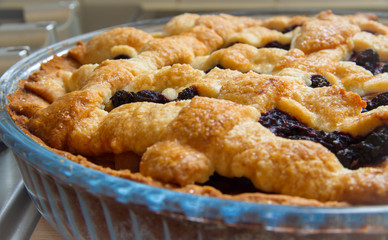 Peach,apricot and blackcurrant tart