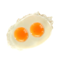 egg