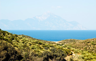 Seascape with mountain and forest