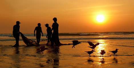 Fishermen dragged ashore network. Sunset, the Arabian Sea.