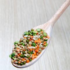 Various legumes, soy, peas, barley