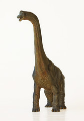 A Tall Brachiosaurus Dinosaur, or Arm Lizard - 60431804