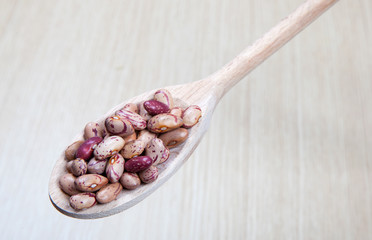 borlotti beans on a wooden spoon
