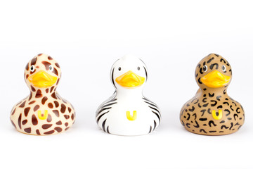 Three plastic wild ducks
