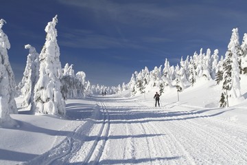 Cross Country Ski Trail