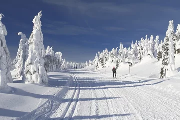 Foto auf Acrylglas Winter Cross Country Ski Trail