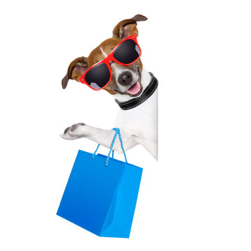 shopaholic shopping dog