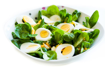 Corn Salad  with Egg