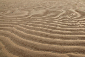 Beautiful Beach In St Andrews, Scotland