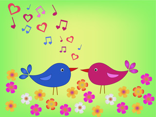 birds on meadow in love