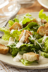 Healthy Green Organic Caesar Salad