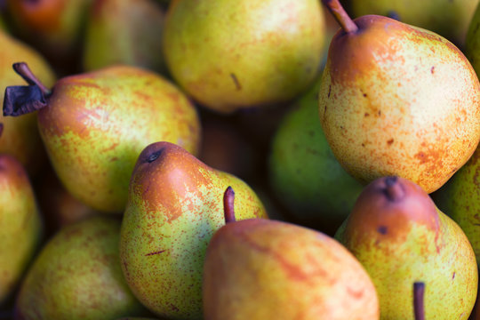 Ripe Pears