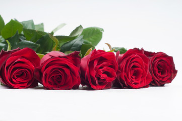 Five red roses
