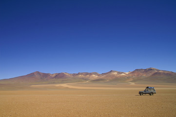 Salvador Dali Desert