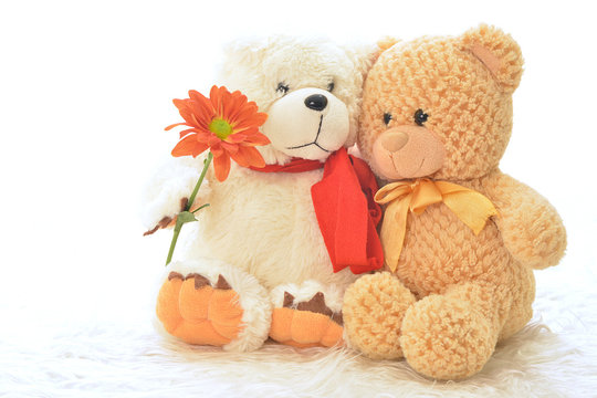 Teddy Bear With Flower