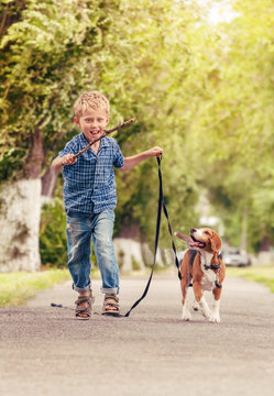 Boy playing with beagle puppy