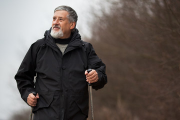 Senior man nordic walking