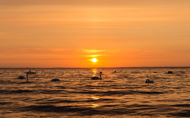 Sonnenuntergang Ostsee 10