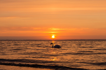 Fototapeta premium Sonnenuntergang Ostsee 11