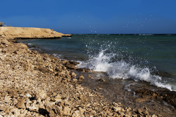 BERENICE MAR ROSSO EGITTO