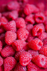 Closeup of fresh picked raspberries