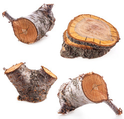 Collections of Rough cut of fruit tree isolated on white