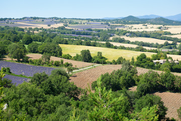 Aerial view of lavender fields in France