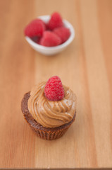 Schokoladen Cupcakes