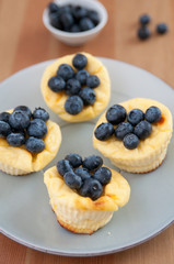 Käsekuchen Muffins mit Heidelbeeren