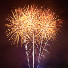 Fototapeta premium Colorful fireworks