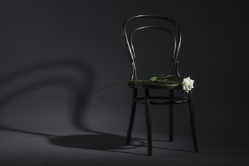 Retro chair and a white rose on a dark background.