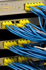 Network switch and UTP ethernet cables