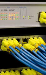 Network switch and UTP ethernet cables