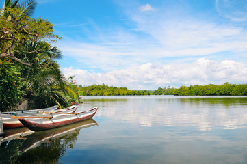 Fototapeta na wymiar River, rainforest and pleasure boats
