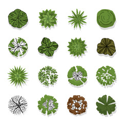 Trees top view for landscape vector illustration