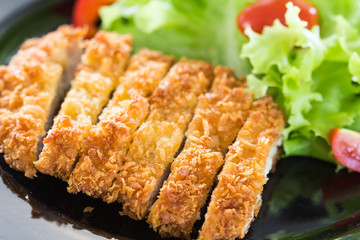Deep fried breaded pork rice with salad