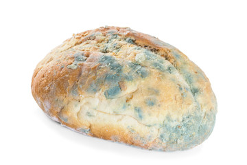 Bread covered in mold. Isolate on white background