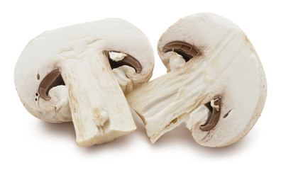 Champignon mushrooms