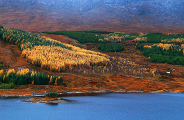 Naklejka premium Alpine autumn landscape in Highlands, Scotland, United Kingdom
