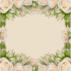 white roses frame