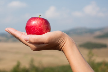 female hand holding red apple