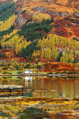 Fototapeta na wymiar Autumn colours in Highlands, Scotland, Europe