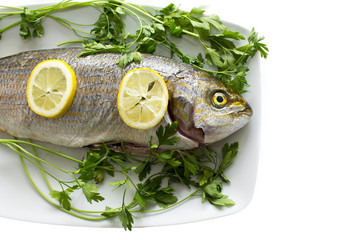 fish on plate