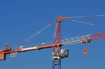 grue
