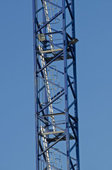grue