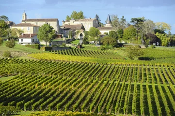 Fotobehang Wijngaarden van Saint Emilion, Wijngaarden van Bordeaux © FreeProd