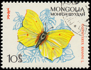 MONGOLIA - CIRCA 1963: A stamp printed in Mongolia shows butterf