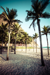 View of Ipanema Beach in the evening, Brazil